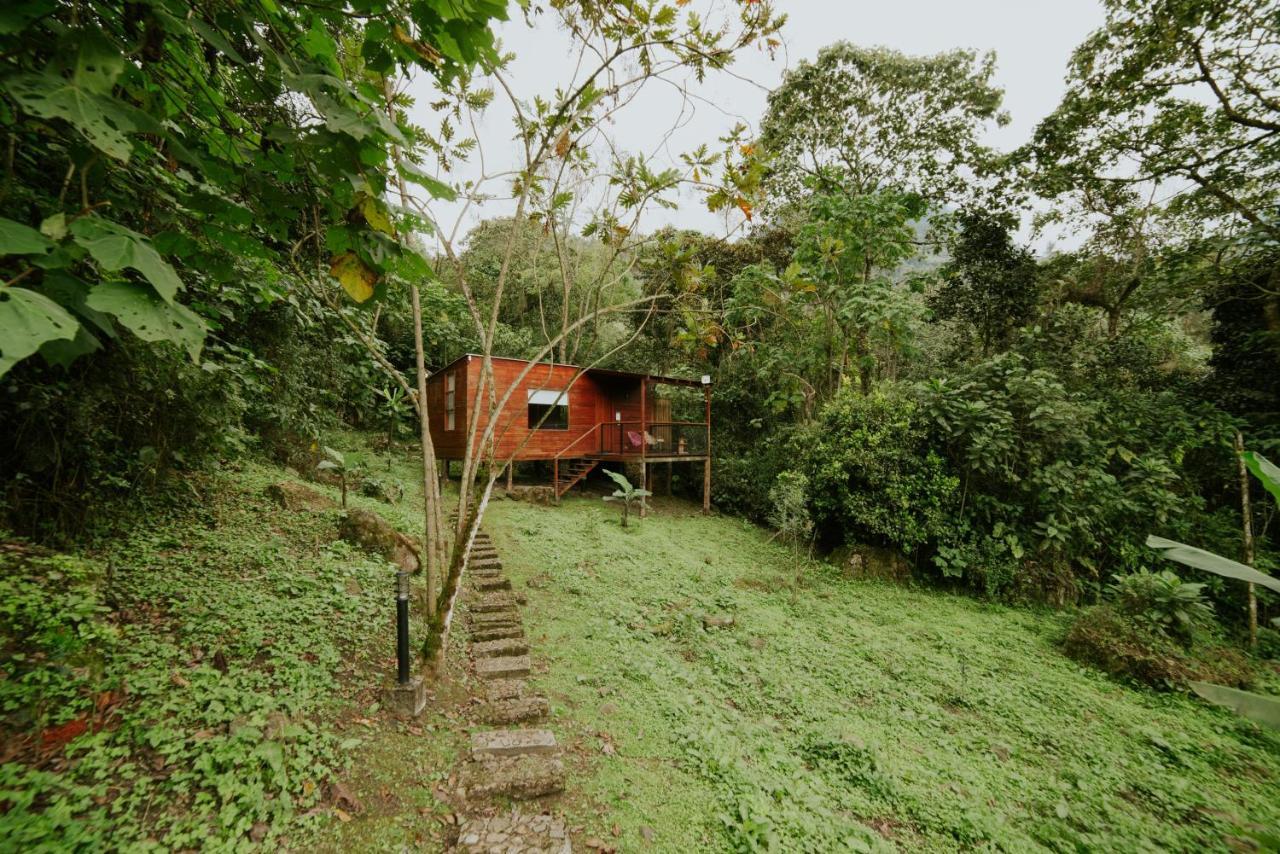 Coffee & Adventure Hotel By La Palma Y El Tucan Zipacon Eksteriør bilde