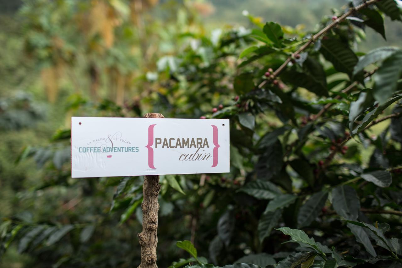Coffee & Adventure Hotel By La Palma Y El Tucan Zipacon Eksteriør bilde