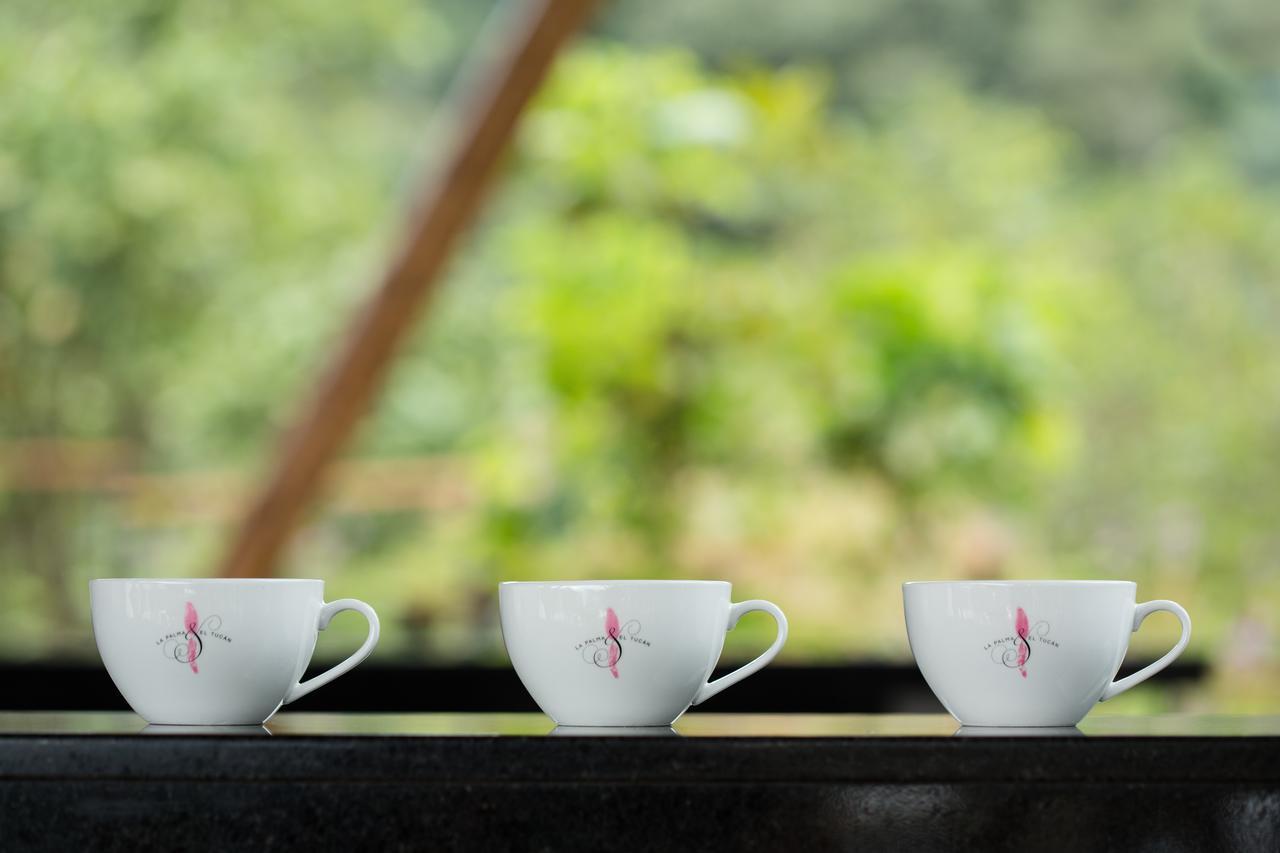 Coffee & Adventure Hotel By La Palma Y El Tucan Zipacon Eksteriør bilde
