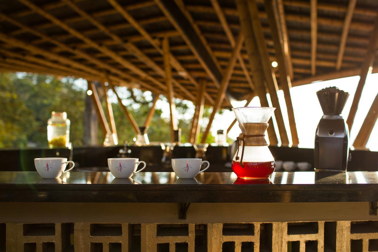 Coffee & Adventure Hotel By La Palma Y El Tucan Zipacon Eksteriør bilde