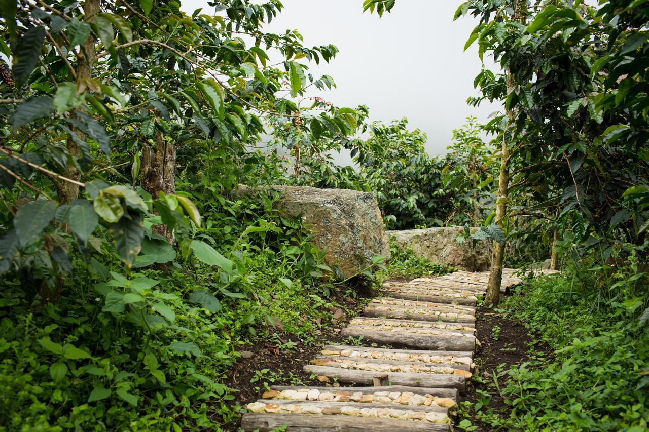 Coffee & Adventure Hotel By La Palma Y El Tucan Zipacon Eksteriør bilde