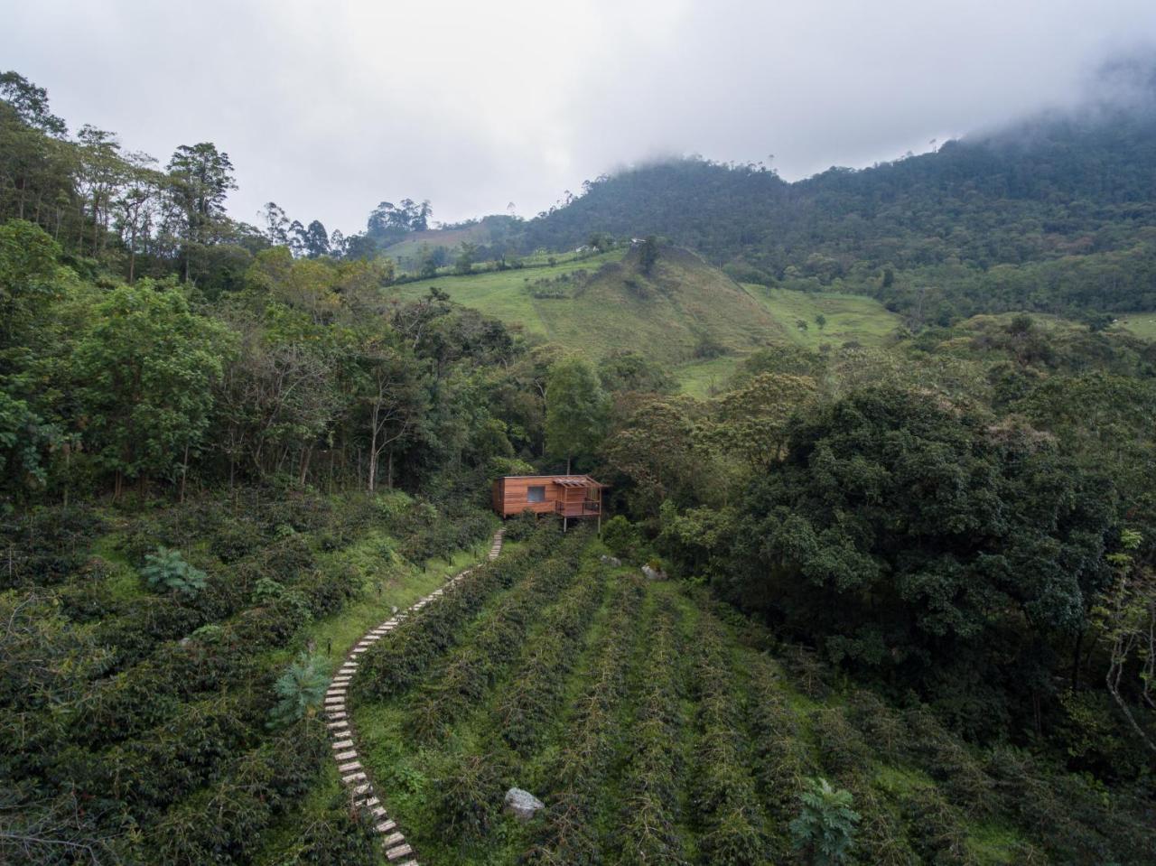 Coffee & Adventure Hotel By La Palma Y El Tucan Zipacon Eksteriør bilde